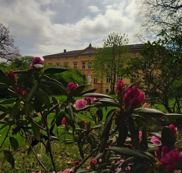 Schloss Tressow Bobitz Exterior foto